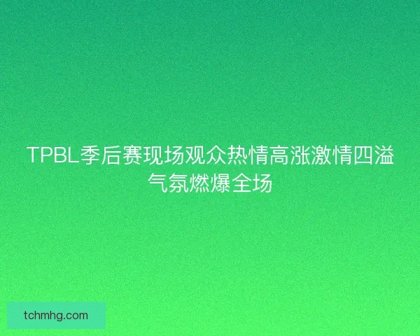 TPBL季后赛现场观众热情高涨激情四溢气氛燃爆全场