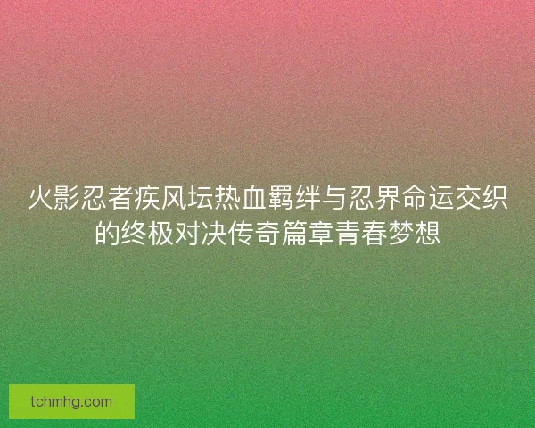 火影忍者疾风坛热血羁绊与忍界命运交织的终极对决传奇篇章青春梦想